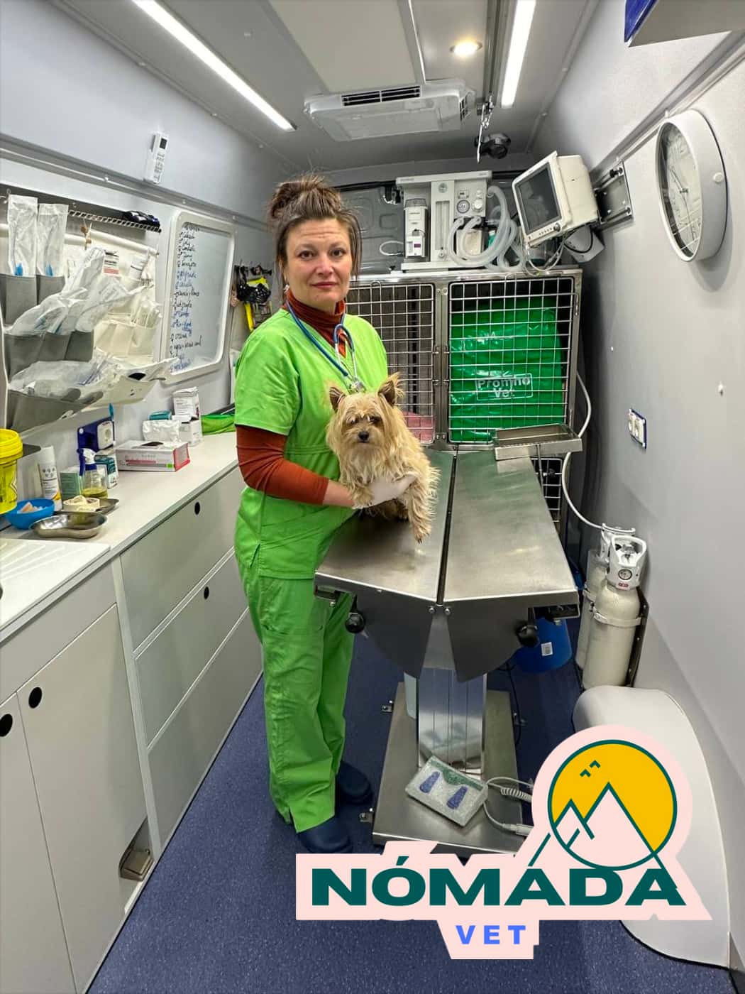 Nòmada Vet - Veterinaria a Domicilio