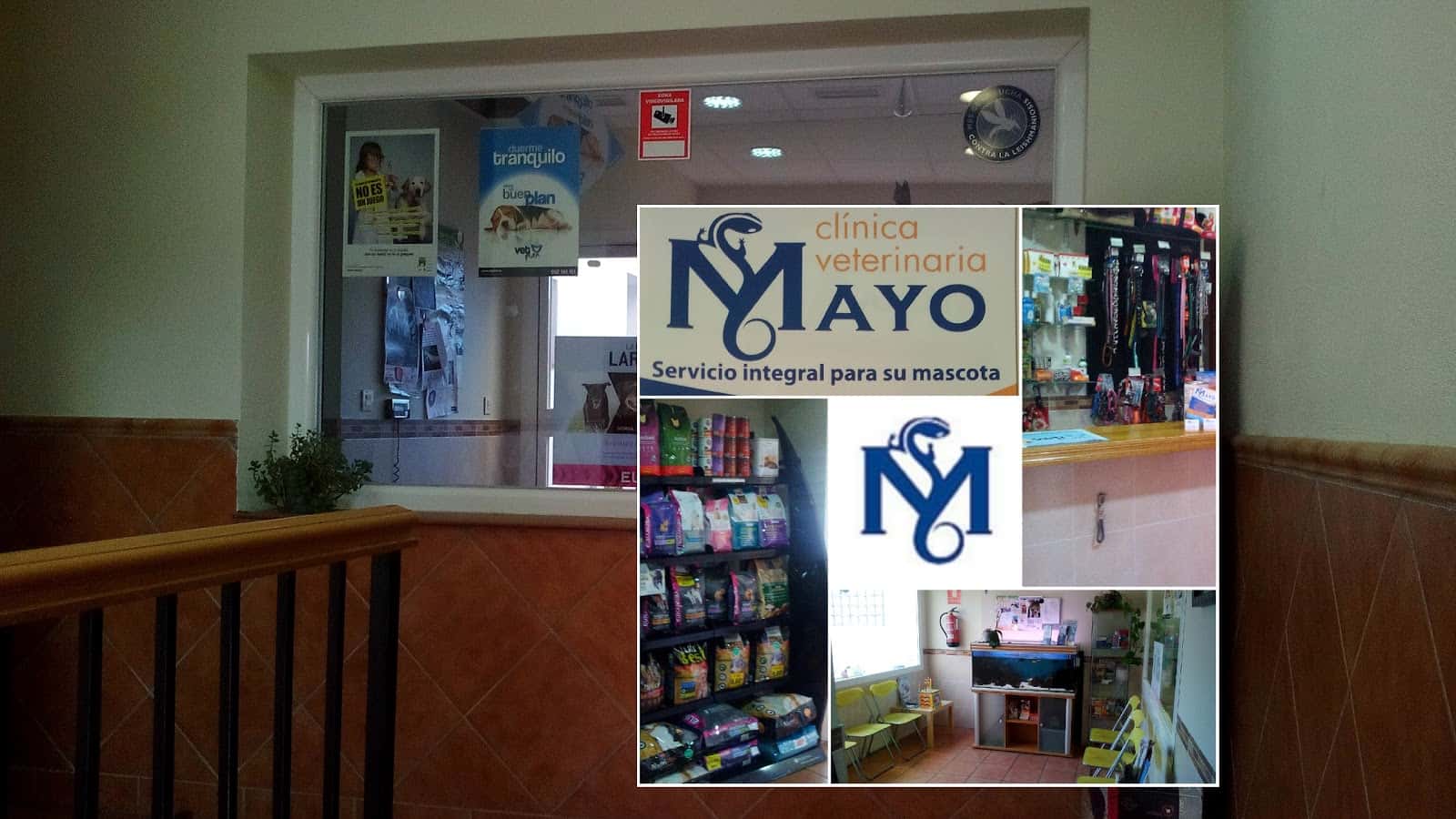 Clínica Veterinaria Mallo