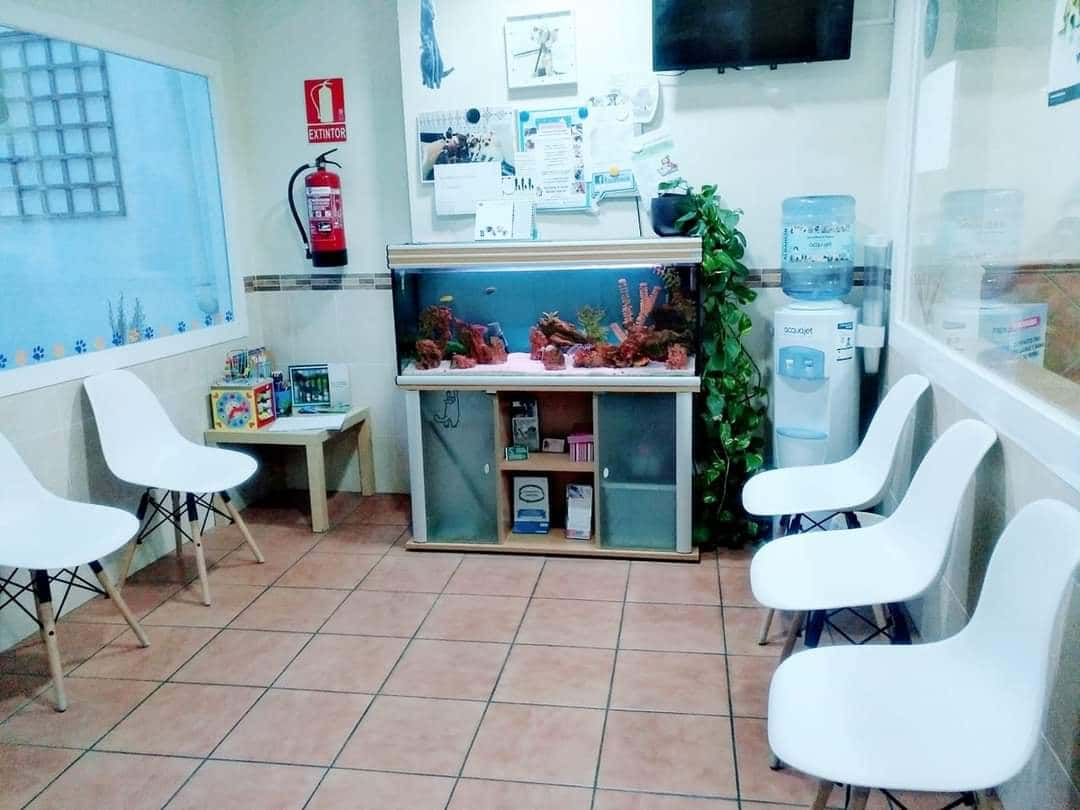 Clínica Veterinaria Mallo
