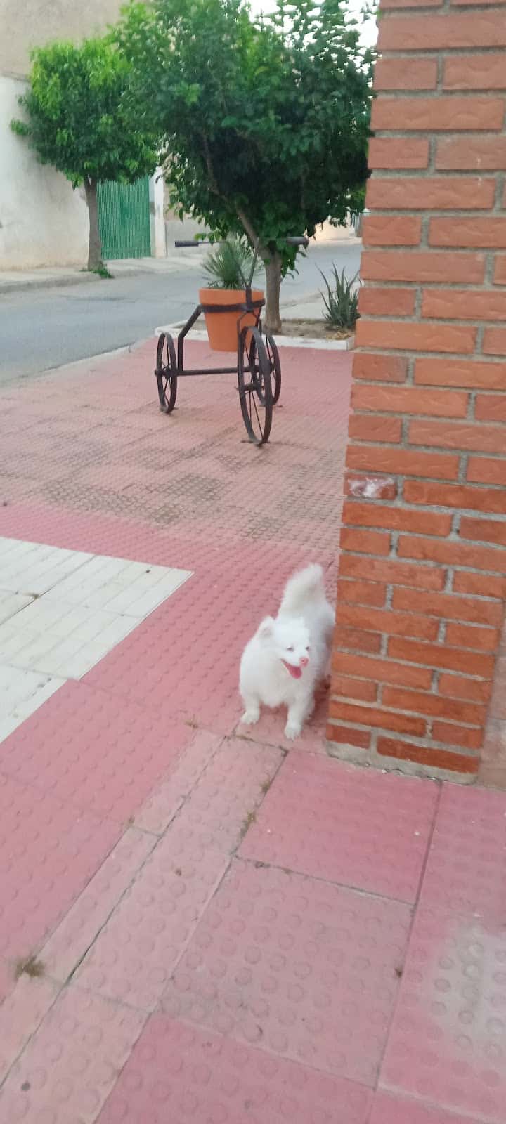 Clínica Veterinaria Santa Fe