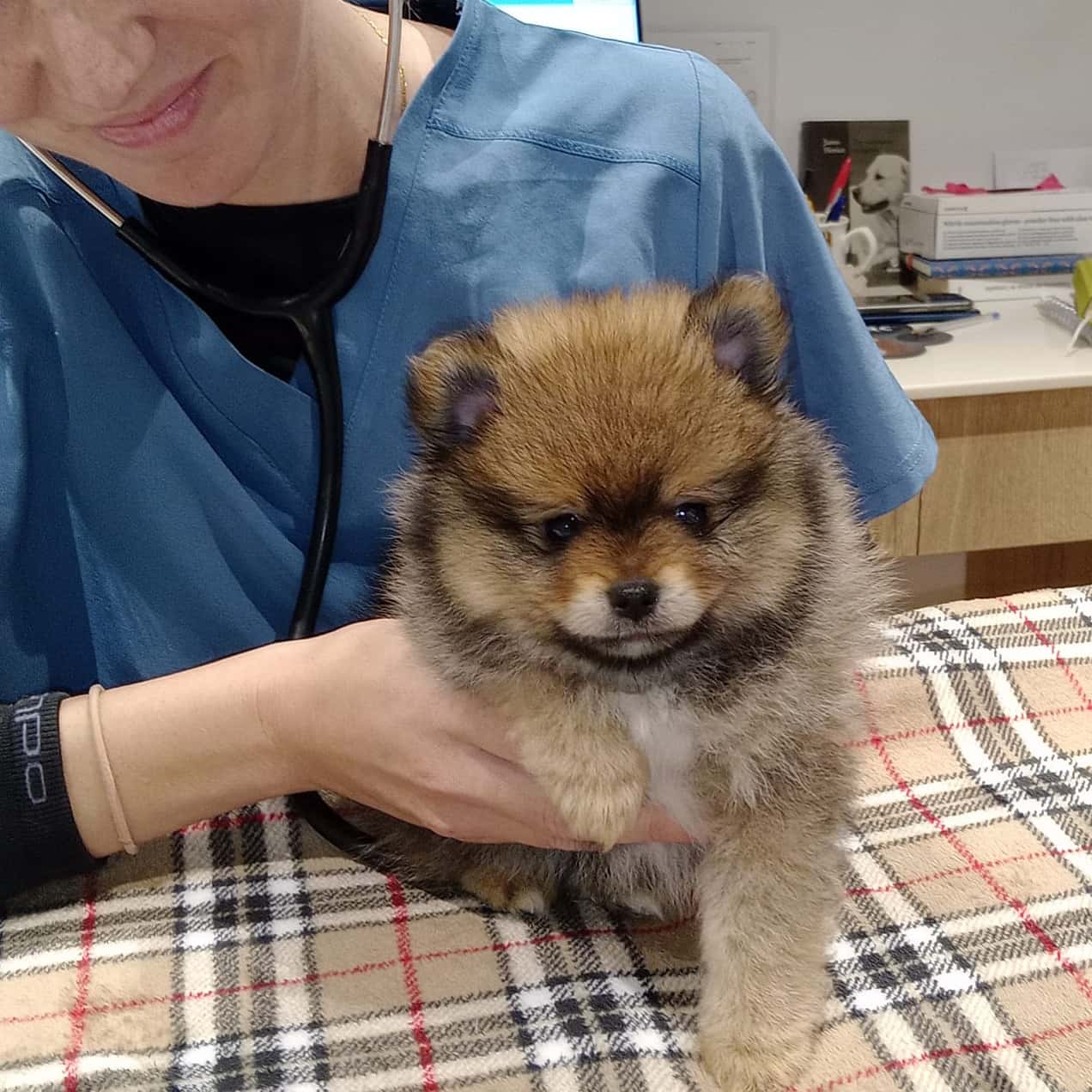 Clínica Veterinaria La Martina