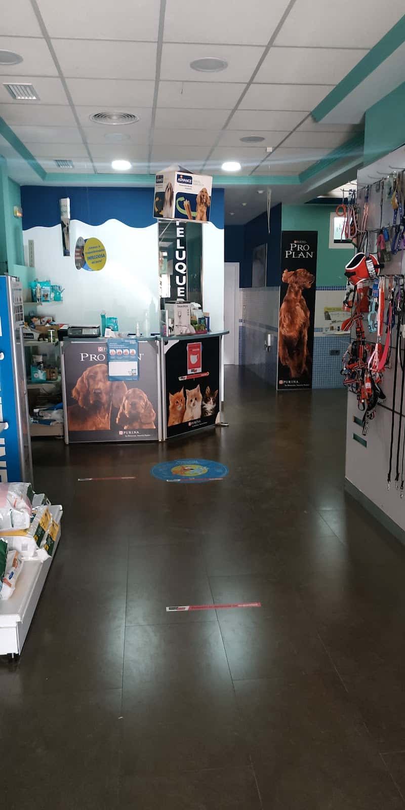 CLINICA VETERINARIA WECAN VETERMAGINA