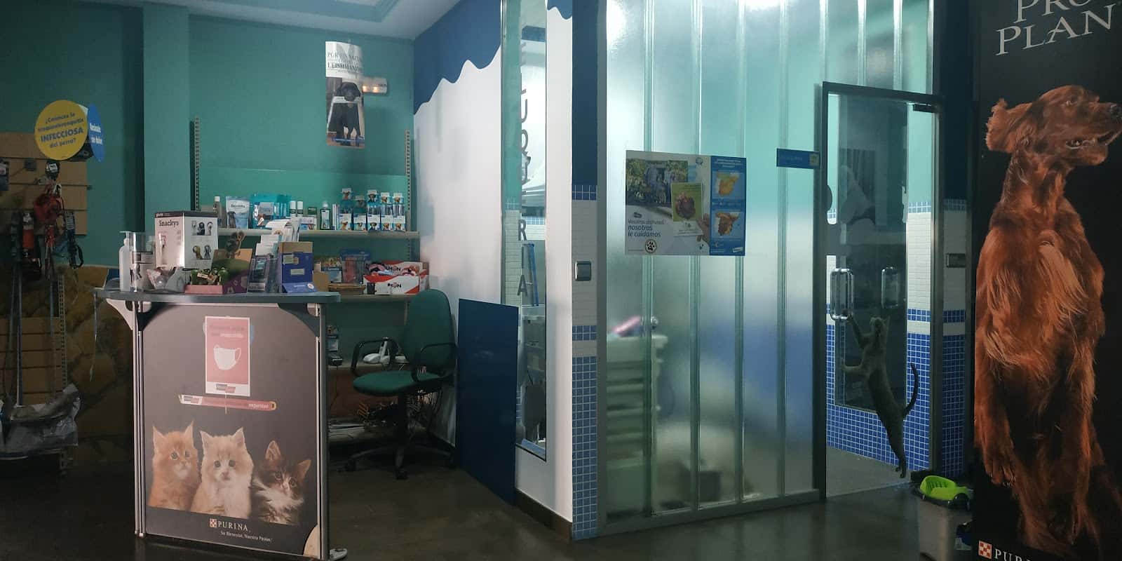 CLINICA VETERINARIA WECAN VETERMAGINA