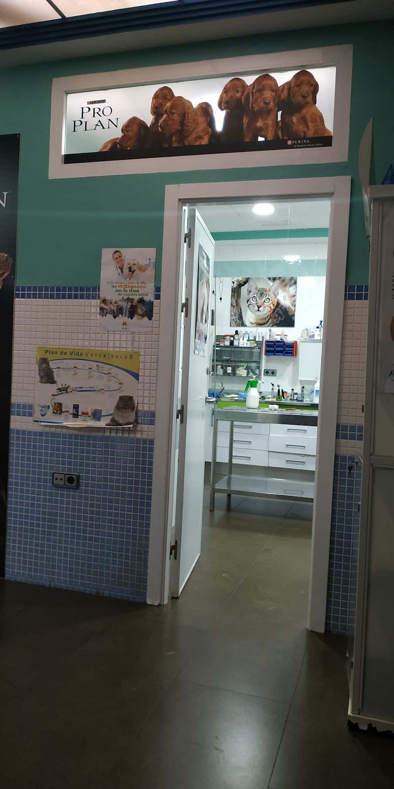CLINICA VETERINARIA WECAN VETERMAGINA