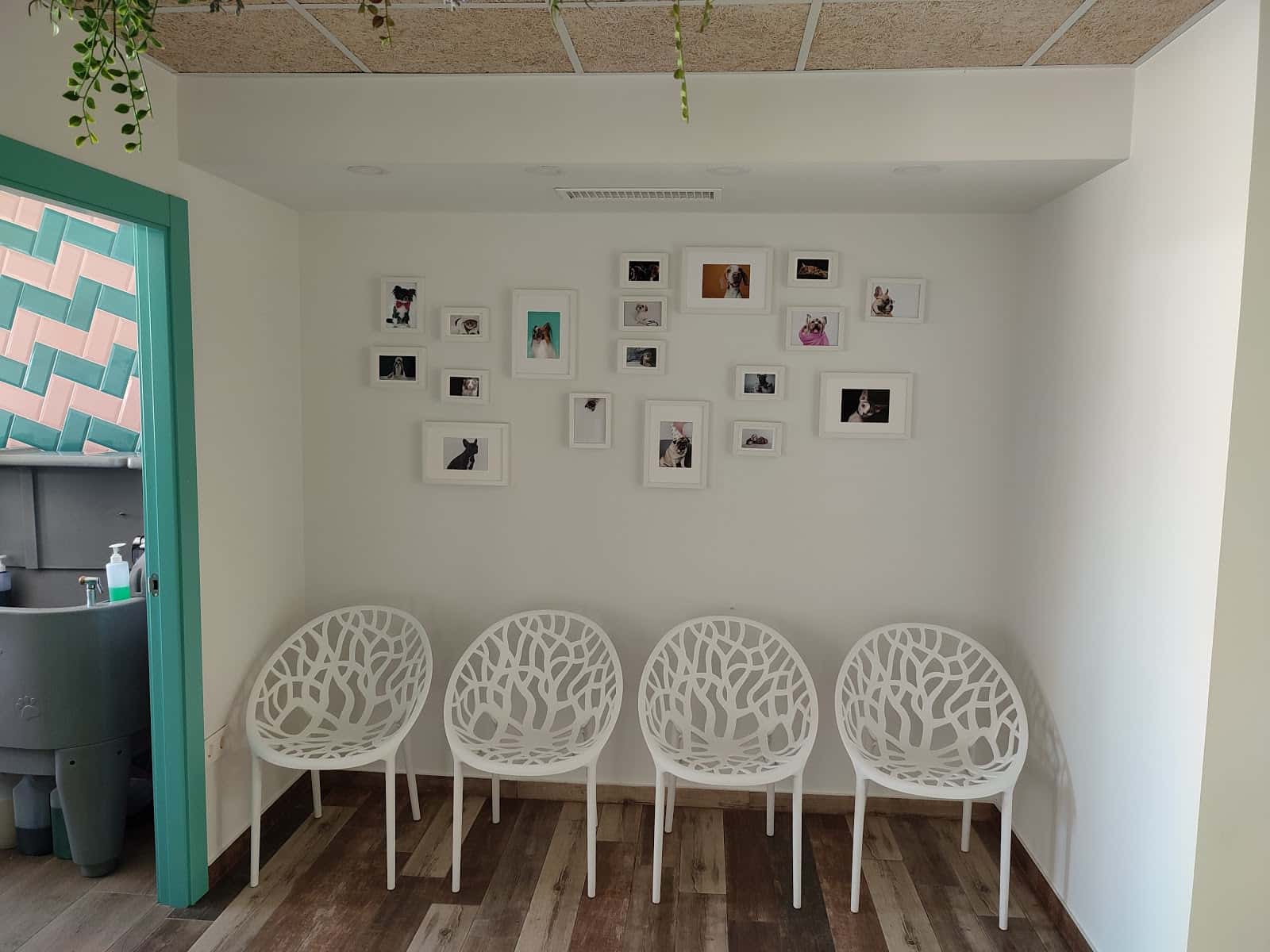 Centro Veterinario Huellas