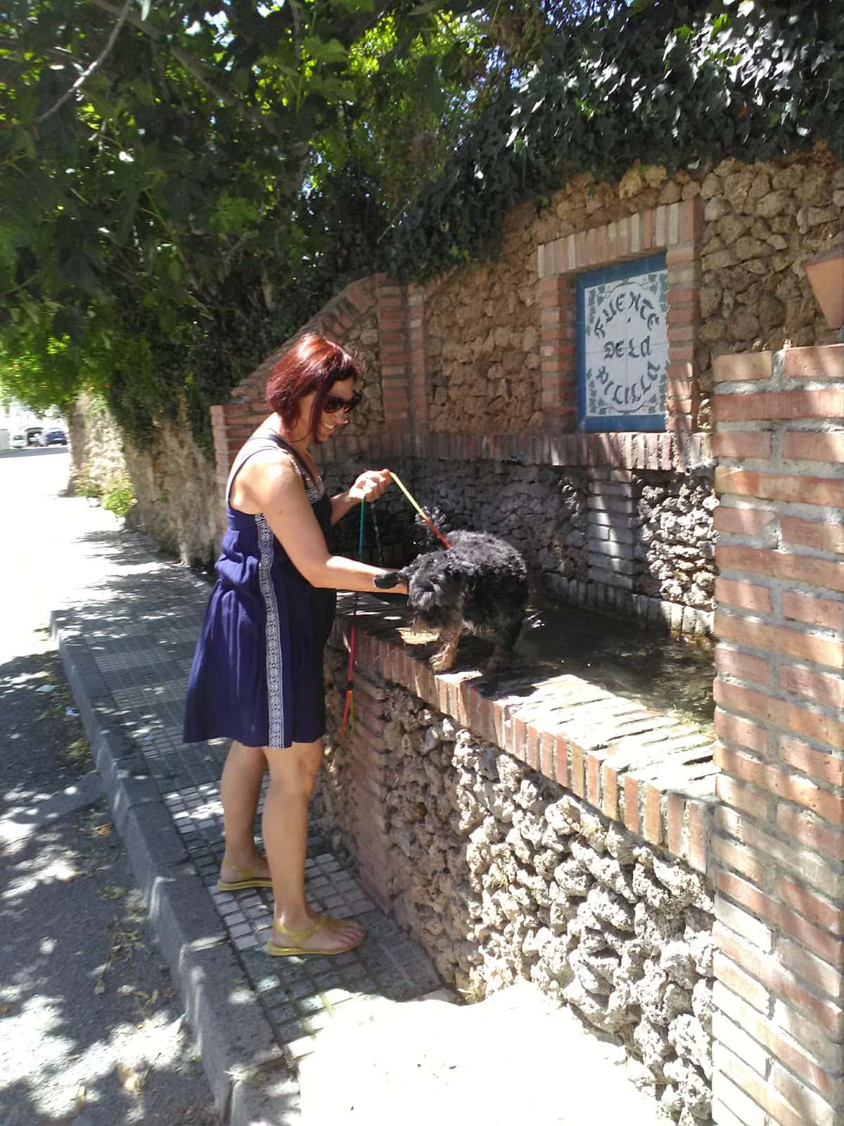 CLINICA VETERINARIA SAN MIGUEL C.B.