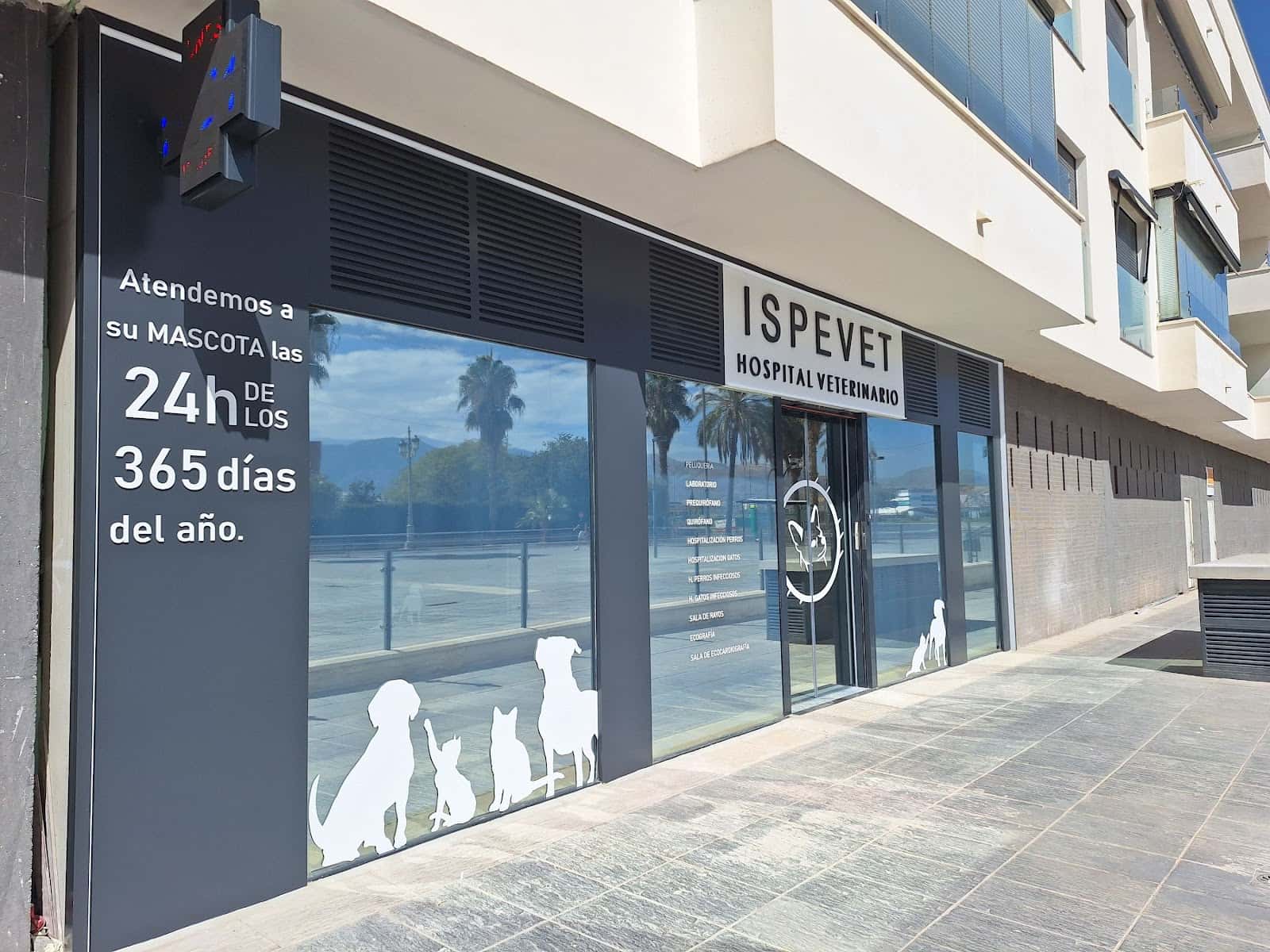 Hospital veterinario Ispevet 24h