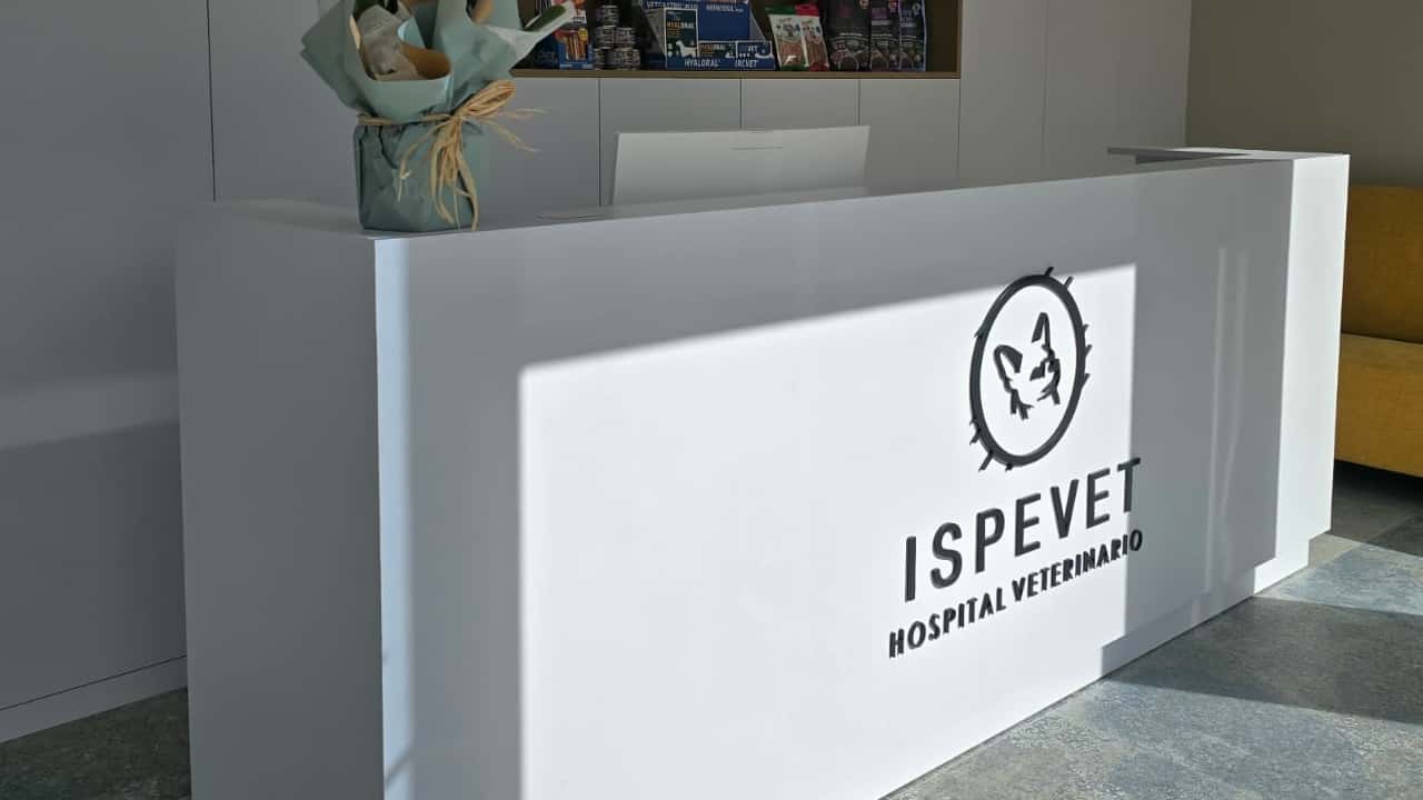 hospital veterinario ispevet 24h veterinario hospital en armilla en granada principalImage ADOPTA Sitios Pet Friendly