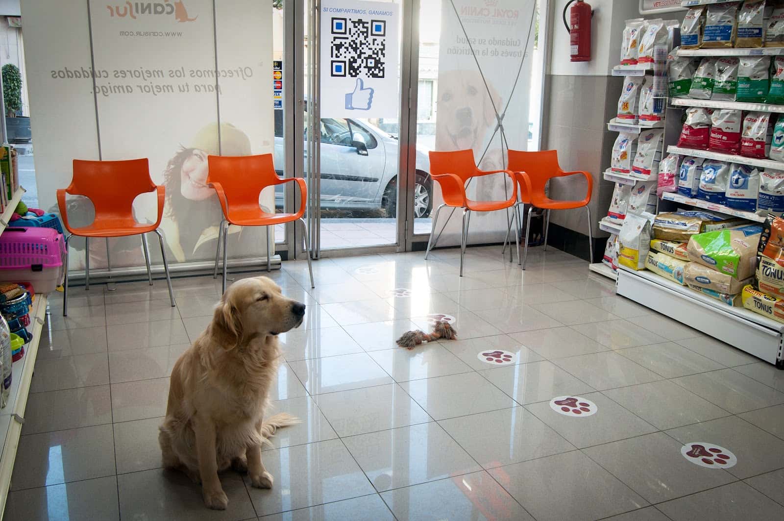 Clinica Veterinaria Canisur