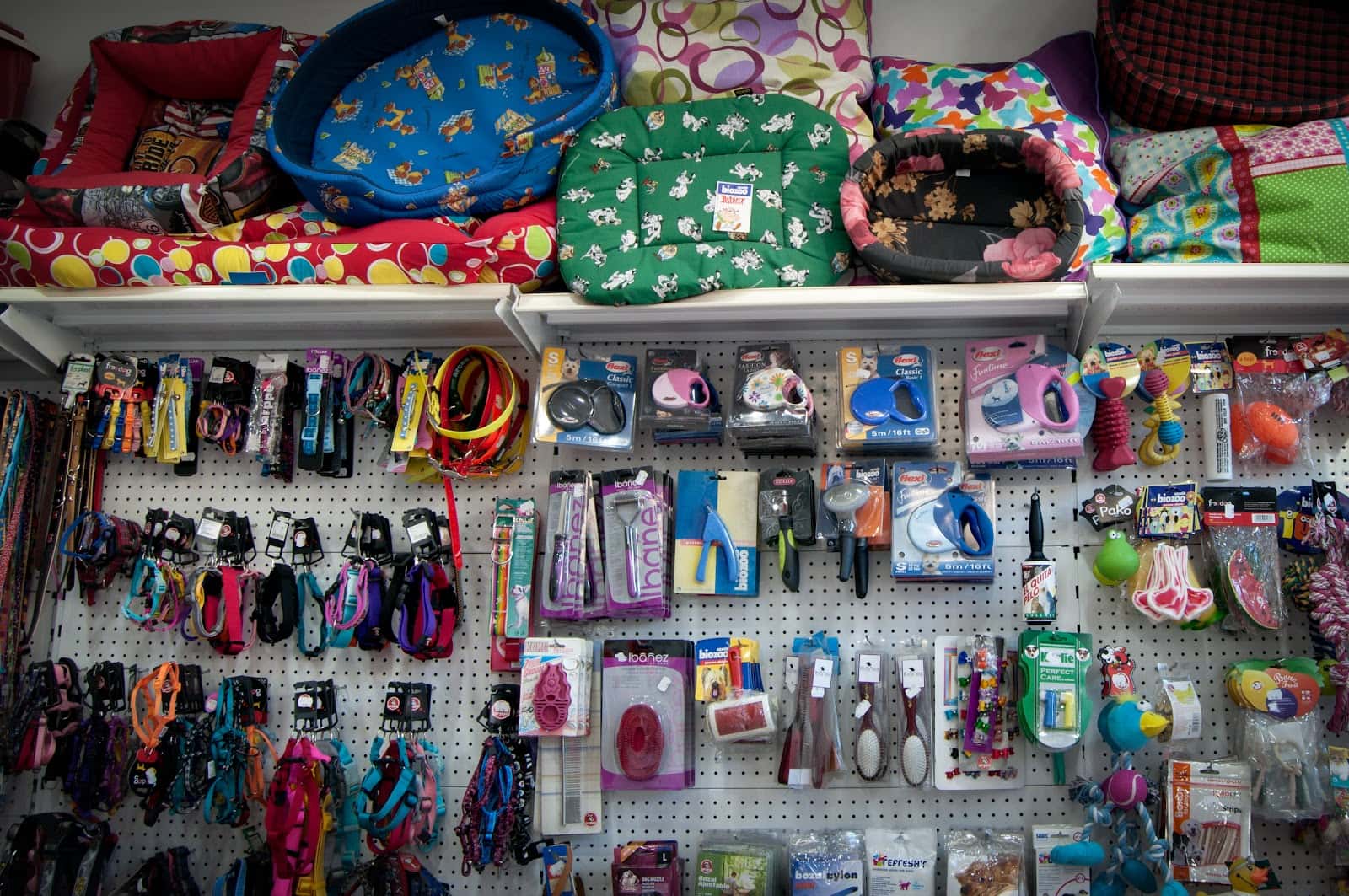 clinica veterinaria canisur veterinario clinica en motril en granada principalImage ADOPTA Sitios Pet Friendly