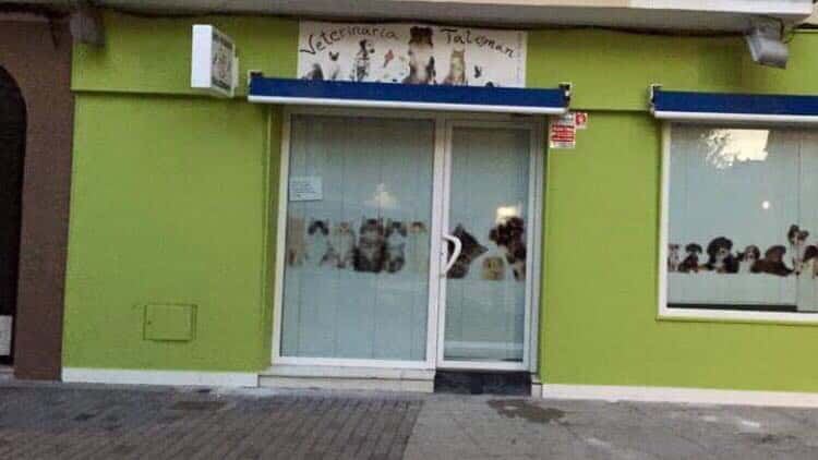 clinica veterinaria talisman veterinario clinica en motril en granada principalImage ADOPTA Sitios Pet Friendly