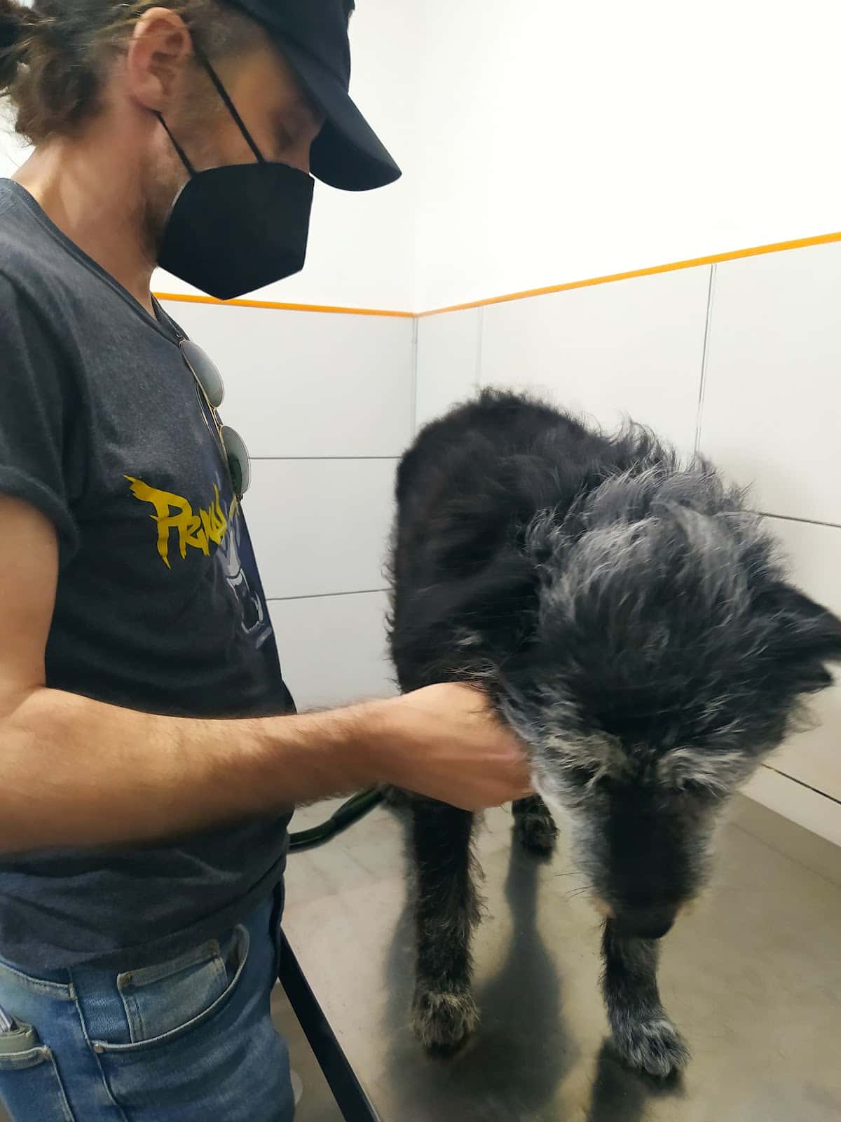 CLINICA VETERINARIA CHAUCHINA VIRGEN DEL PINCHO