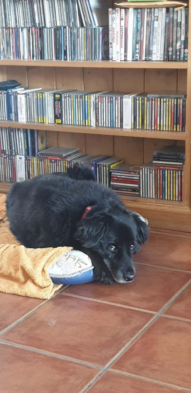 Clínica Veterinaria Almijara S.L.