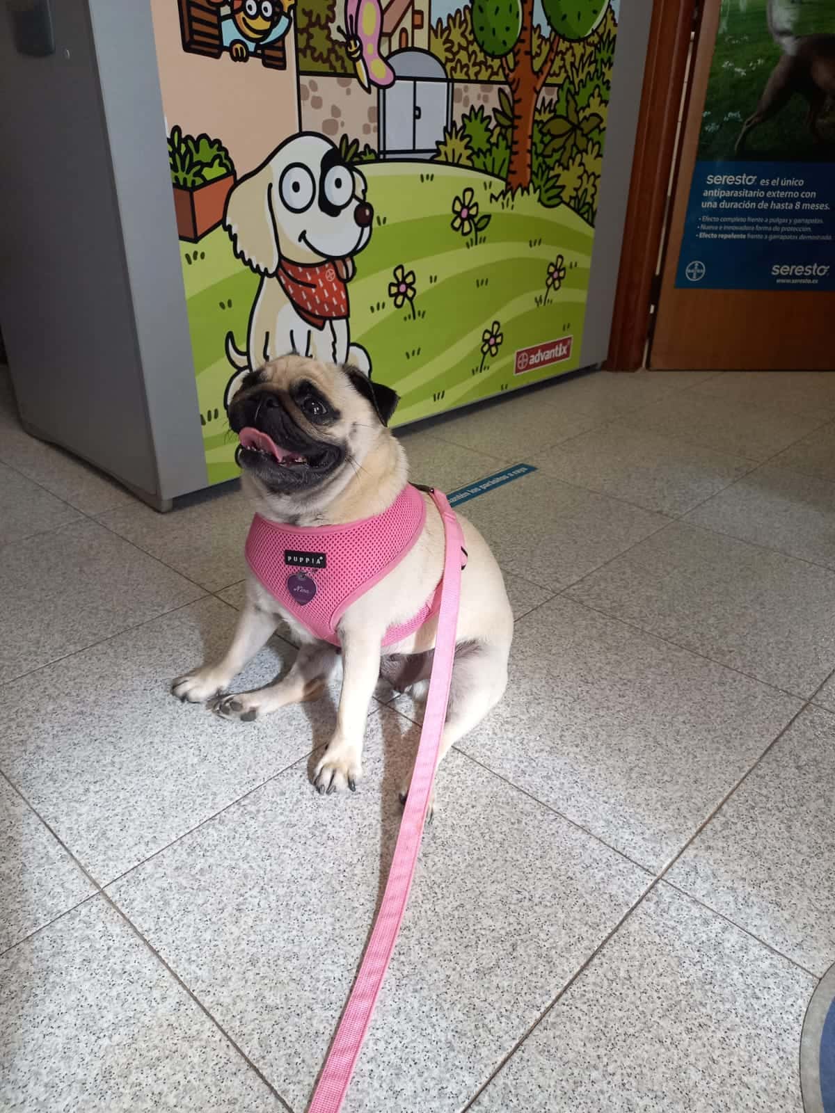Clínica Veterinaria Almijara S.L.