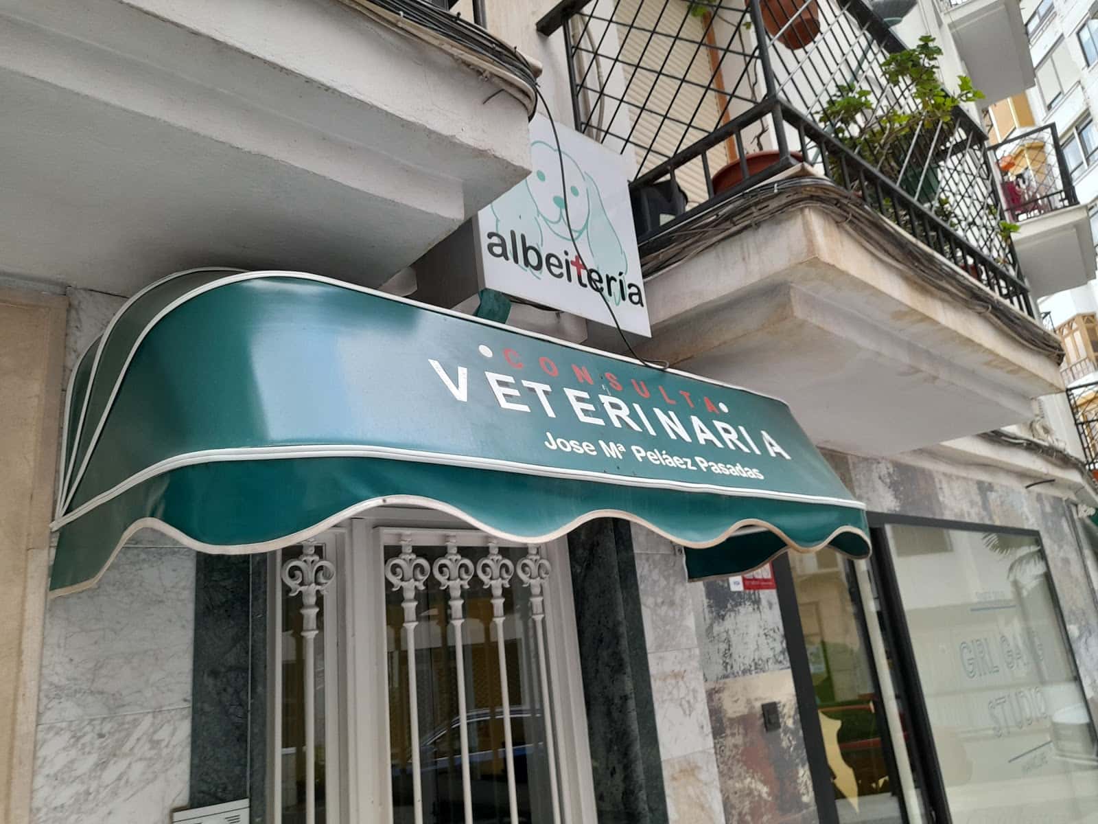 consulta veterinaria jose maria pelaez albeiteria veterinario centro en loja en granada principalImage ADOPTA Sitios Pet Friendly