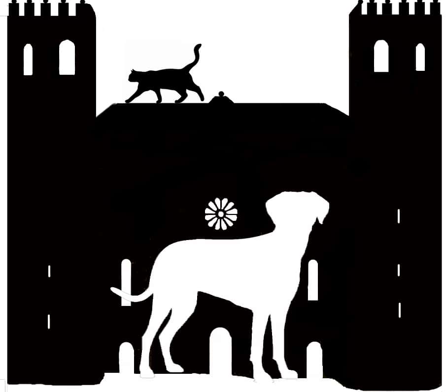 Centro Veterinario Sigüenza