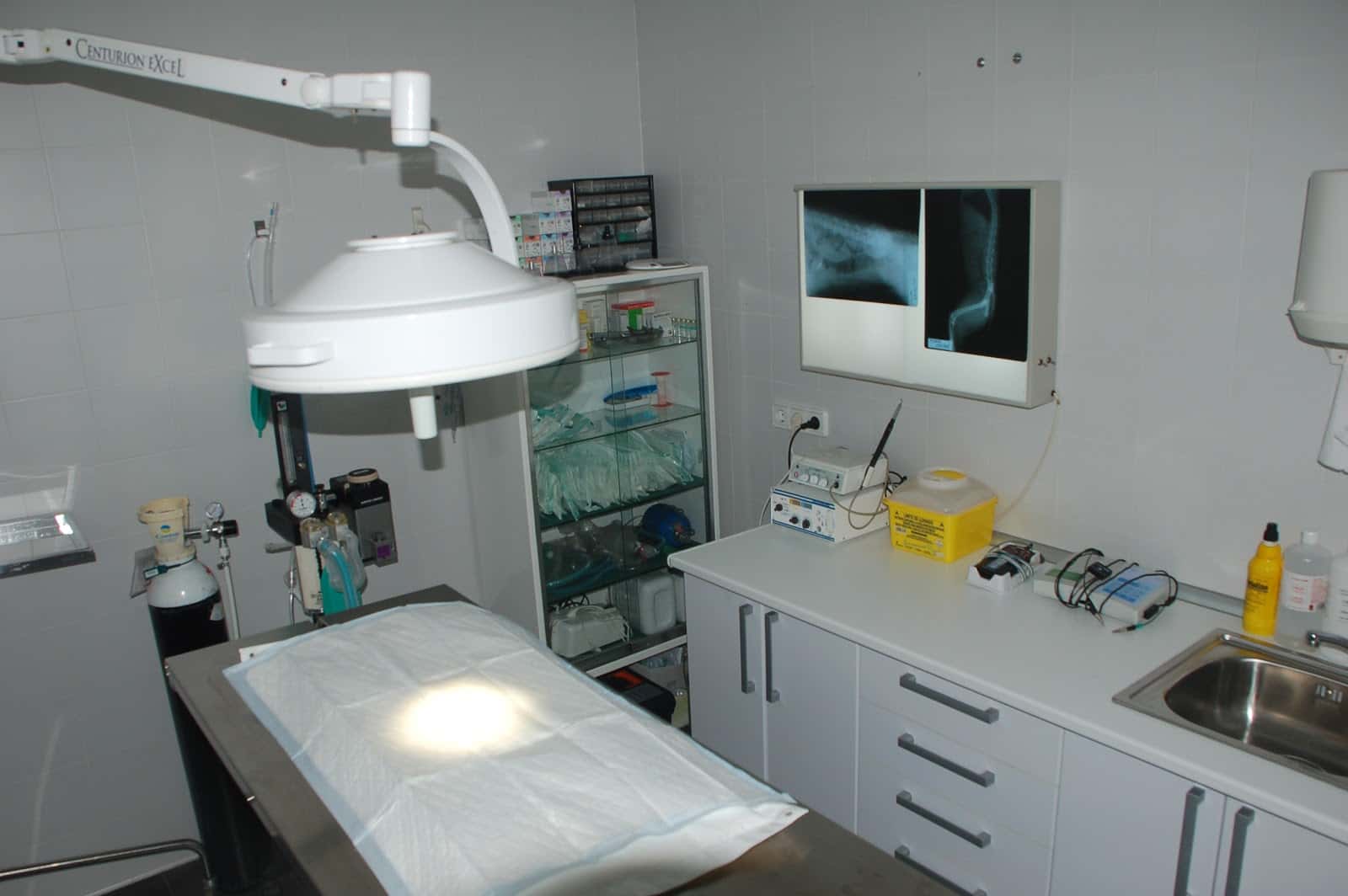 CLINICA VETERINARIA LC