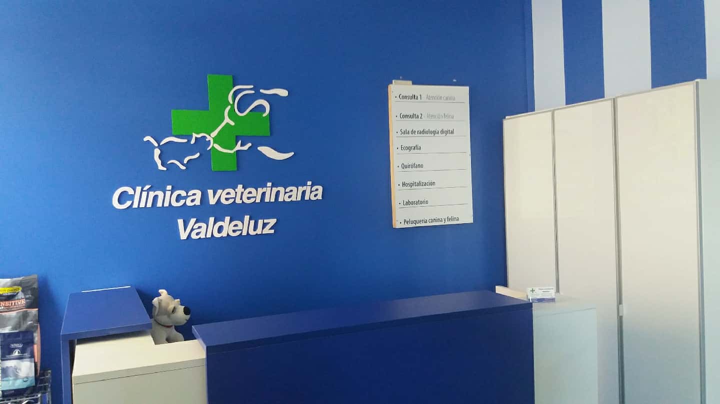 clinica veterinaria valdeluz veterinario clinica en ciudad valdeluz en guadalajara principalImage ADOPTA Sitios Pet Friendly