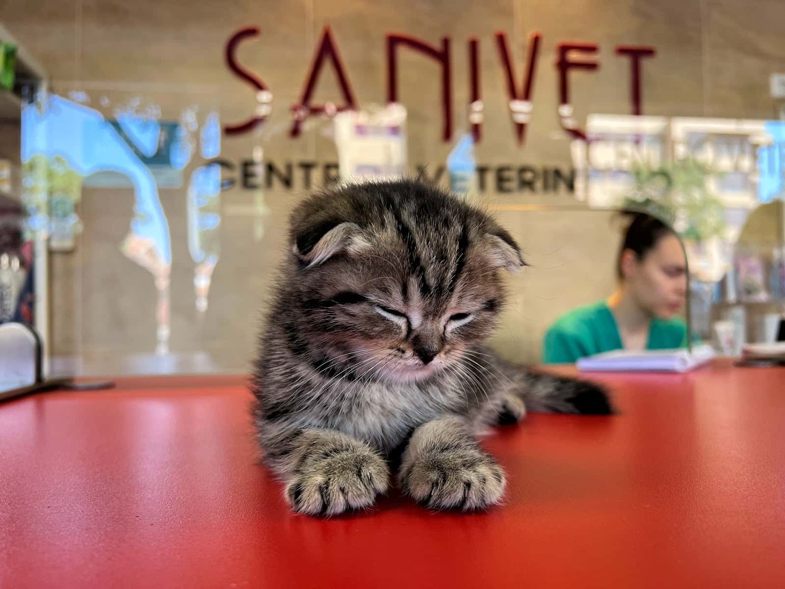 SANIVET CENTRO VETERINARIO