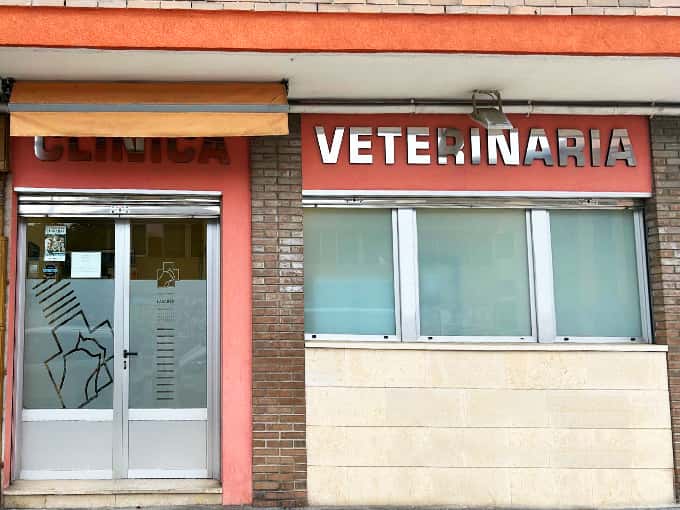 clinica veterinaria lasarte veterinario clinica en lasarte oria en gipuzkoa principalImage ADOPTA Sitios Pet Friendly