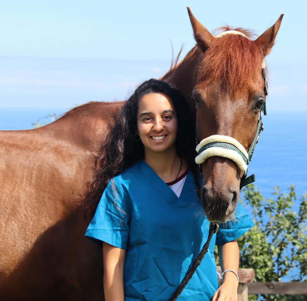 enara lucas parra veterinario centro en lasarte oria en guipuzcoa principalImage ADOPTA Sitios Pet Friendly