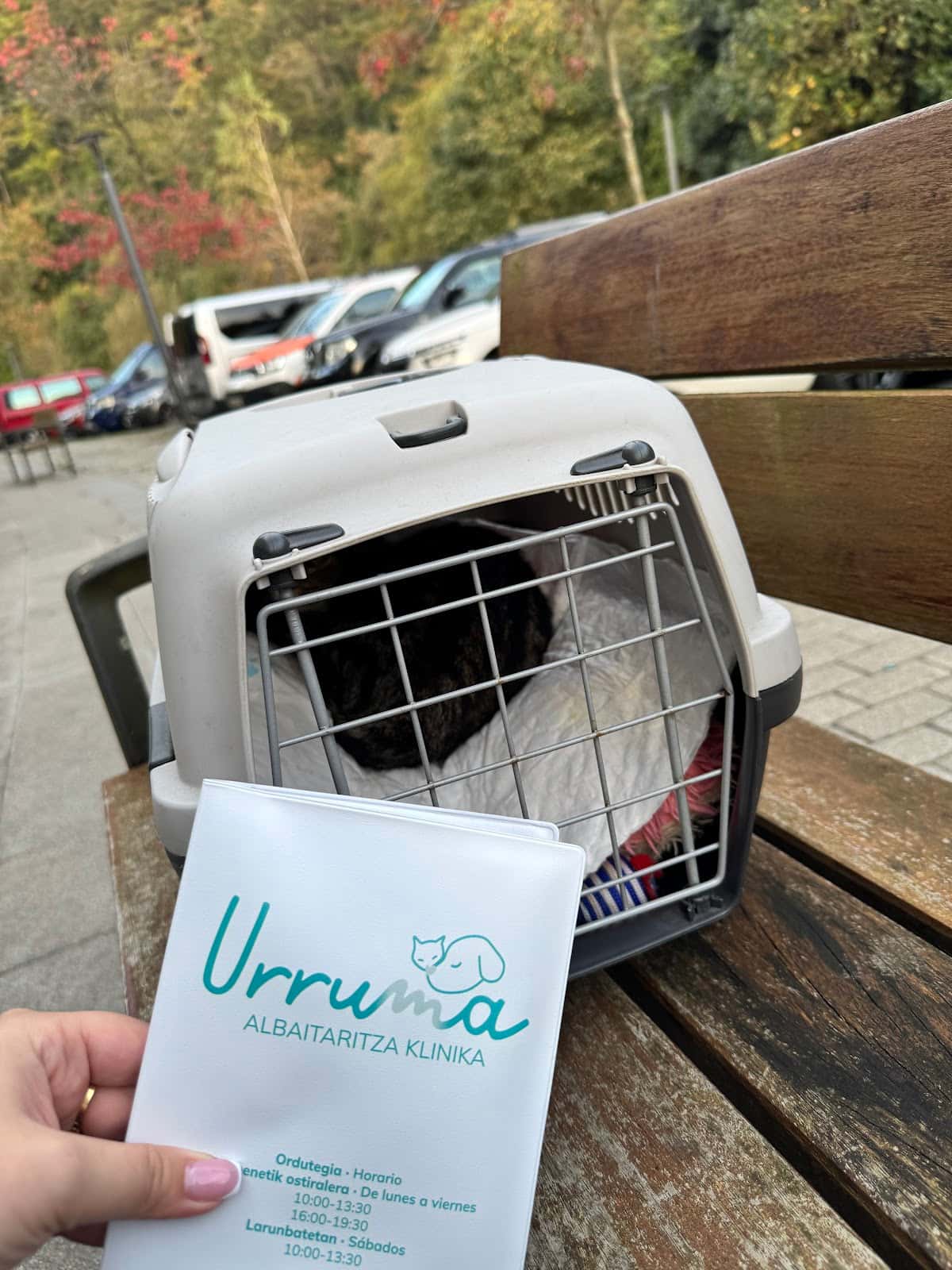 Urruma Albaitaritza Klinika