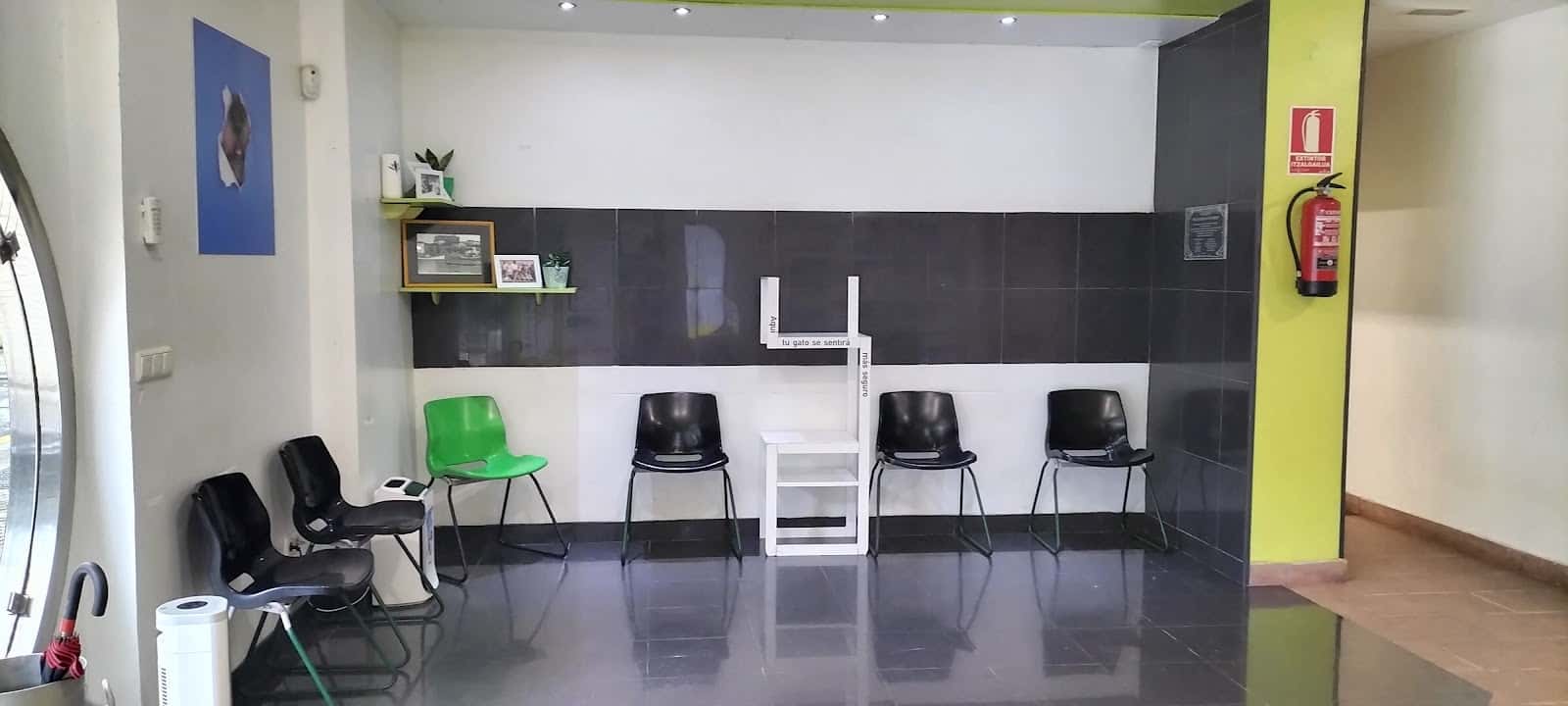 katu horia veterinario centro en orio en gipuzkoa principalImage ADOPTA Sitios Pet Friendly