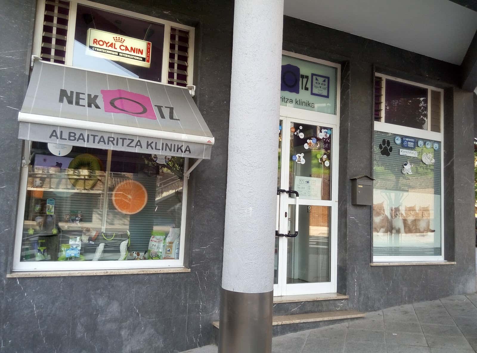 Nekotz Albaitaritza Klinika