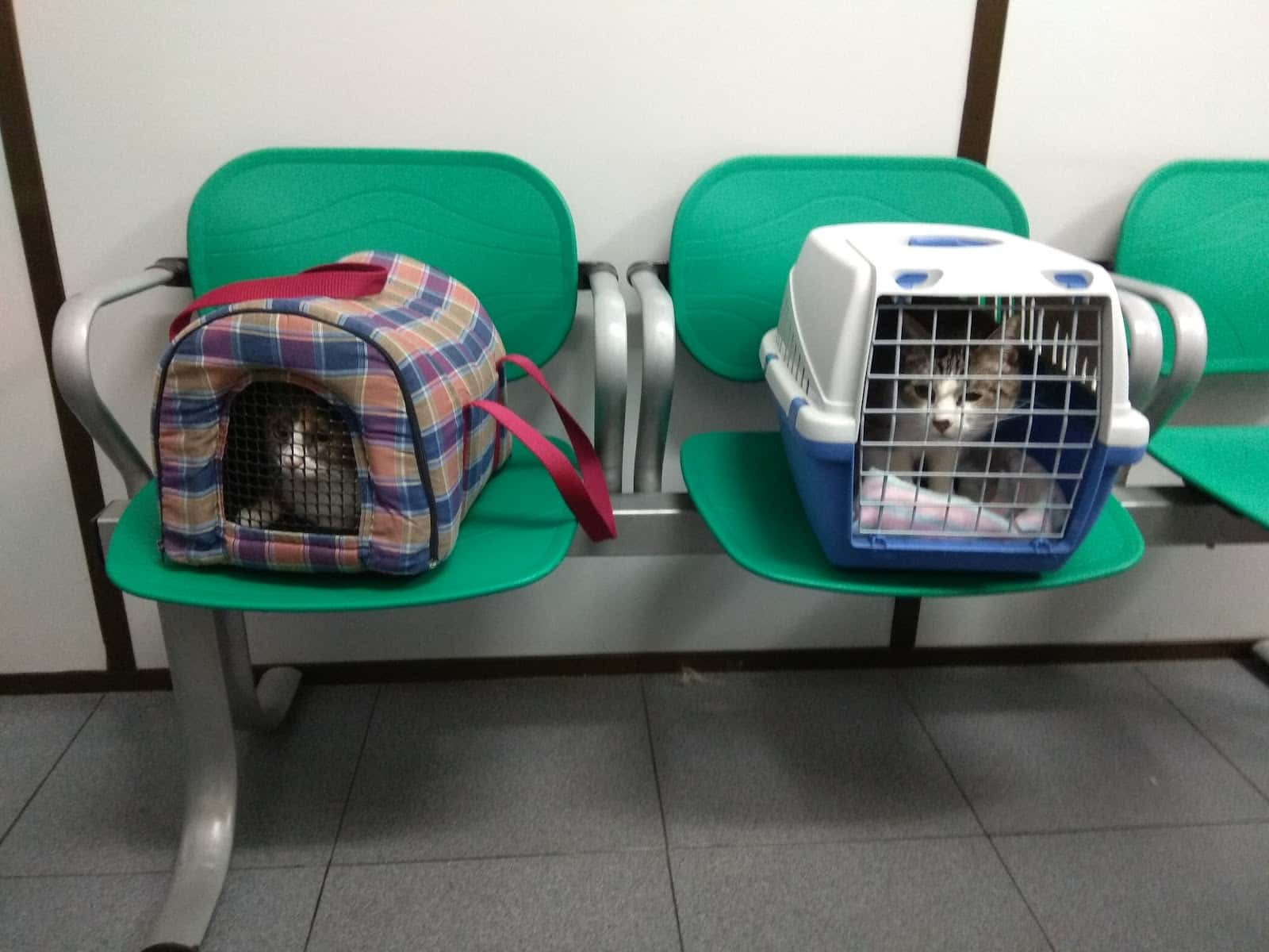 ALBEITAR CLINICA VETERINARIA