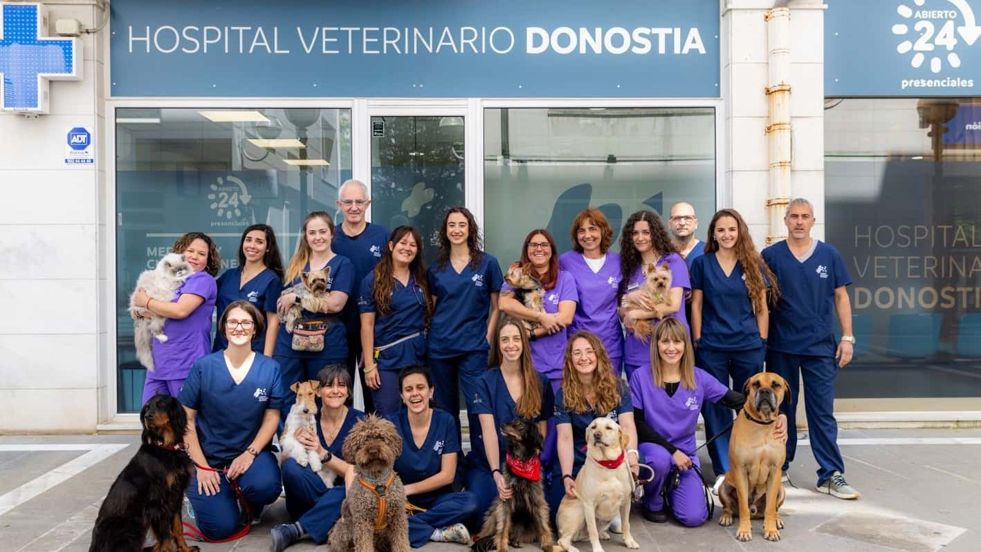 hospital veterinario donostia veterinario hospital en donostia en gipuzkoa photo undefined ADOPTA Sitios Pet Friendly