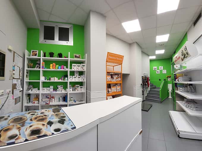 clinica veterinaria olazabal veterinario clinica en errenteria en gipuzkoa principalImage ADOPTA Sitios Pet Friendly