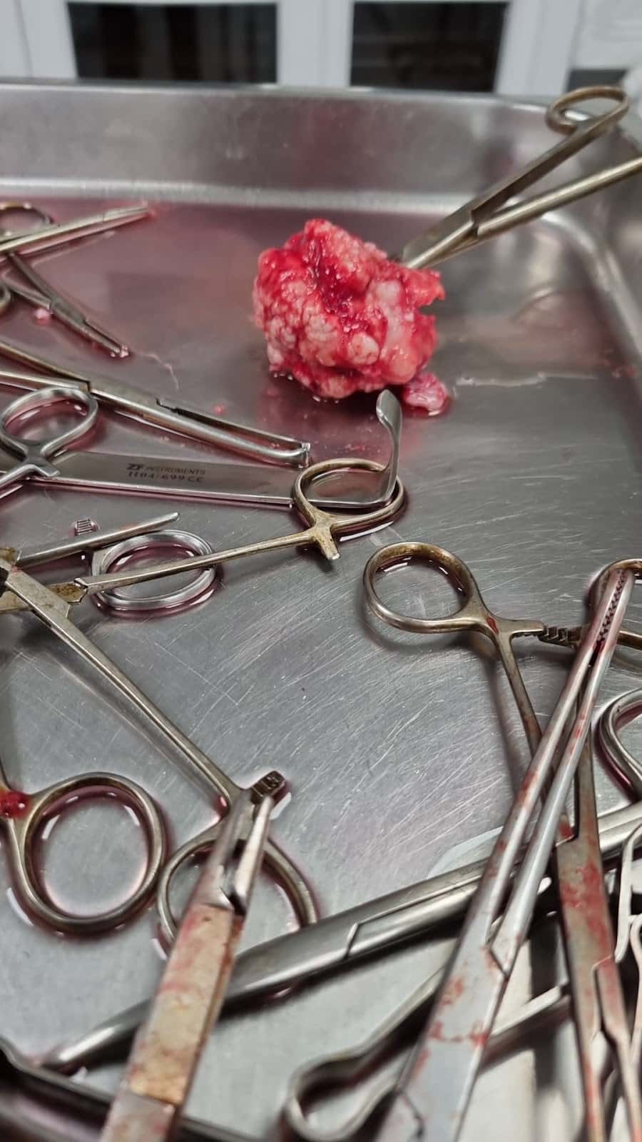 CLINICA VETERINARIA BIDEBIETA