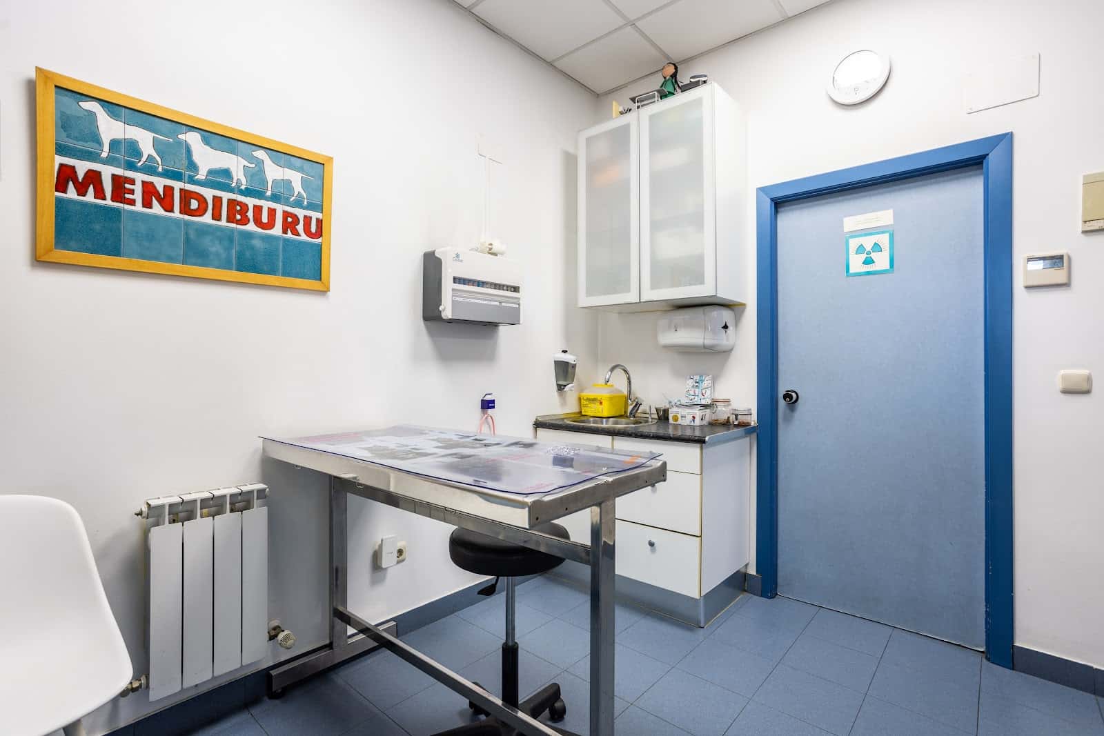Clínica Veterinaria Mendiburu Albaitari Klinika