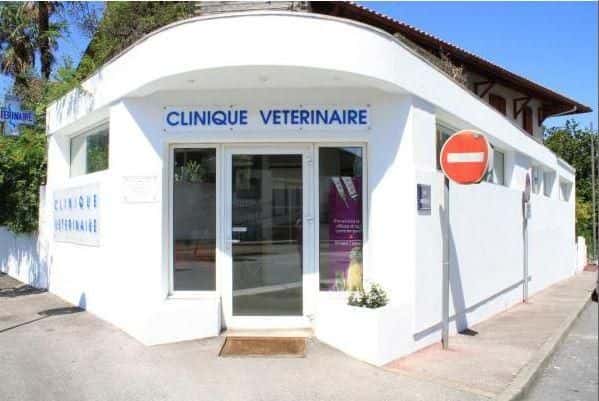clinica veterinario clinica en hendaye en pyrenees atlantiques principalImage ADOPTA Sitios Pet Friendly