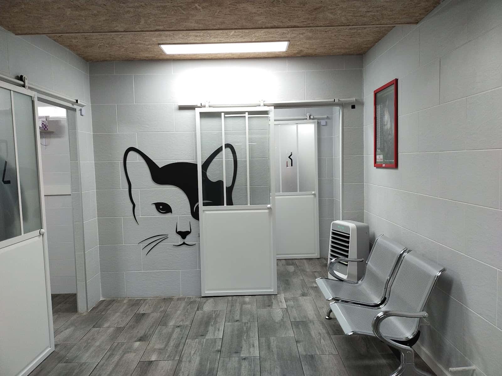 Amaita Vet - Veterinario Irun