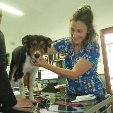 TXEPETXA ALBAITARITZA KONTSULTA/ CONSULTORIO VETERINARIO TXEPETXA