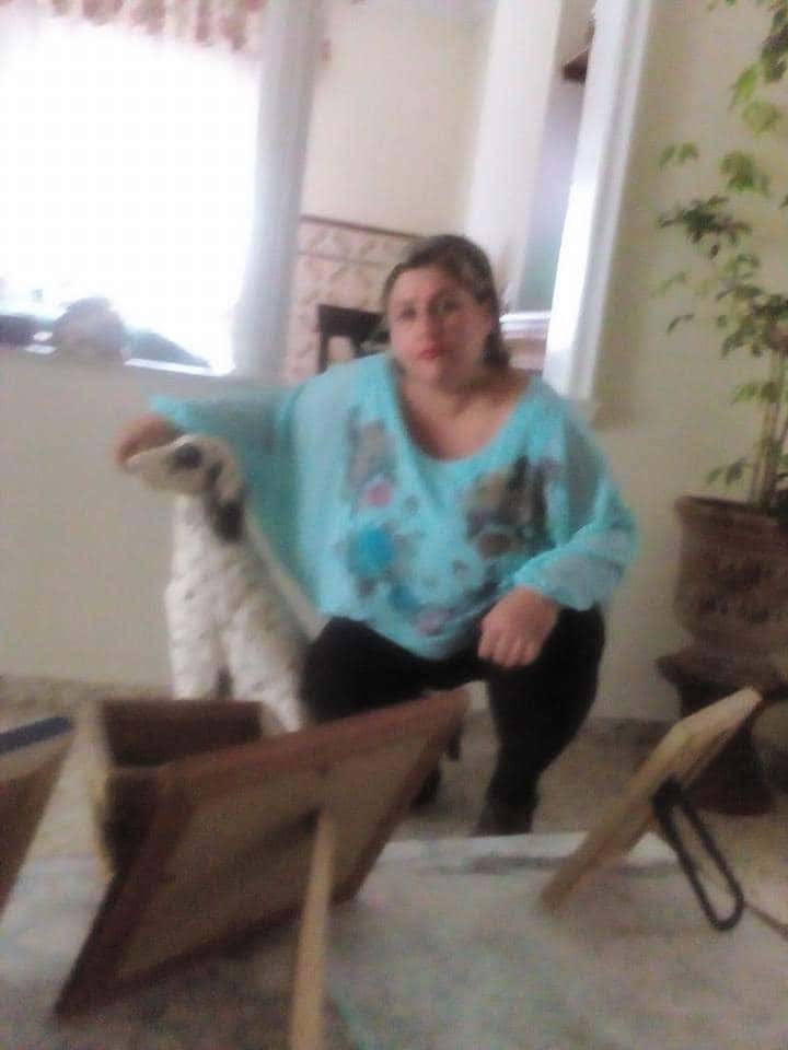 CLÍNICA VETERINARIA SANIVET