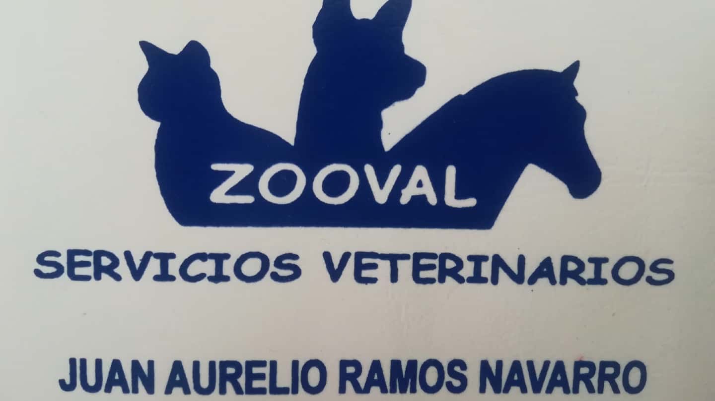 zooval servicios veterinarios  juan aurelio ramos veterinario centro en valverde del camino en huelva principalImage ADOPTA Sitios Pet Friendly