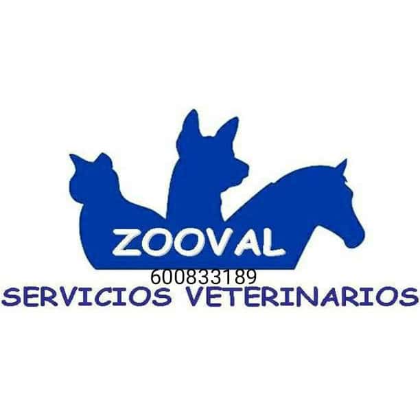 Zooval Centro Veterinario en Valverde - Juan Aurelio