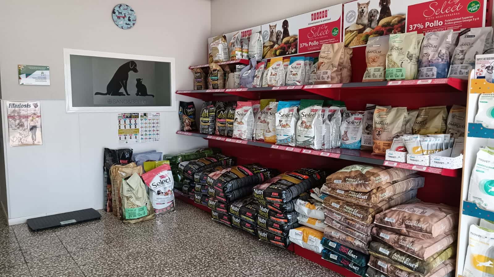 zooval centro veterinario en valverde   juan aurelio veterinario centro en valverde del camino en huelva principalImage ADOPTA Sitios Pet Friendly