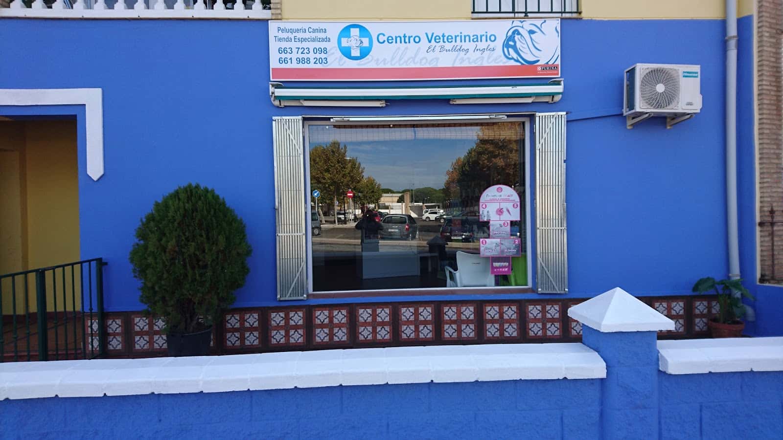 Centro veterinario El bulldog ingles