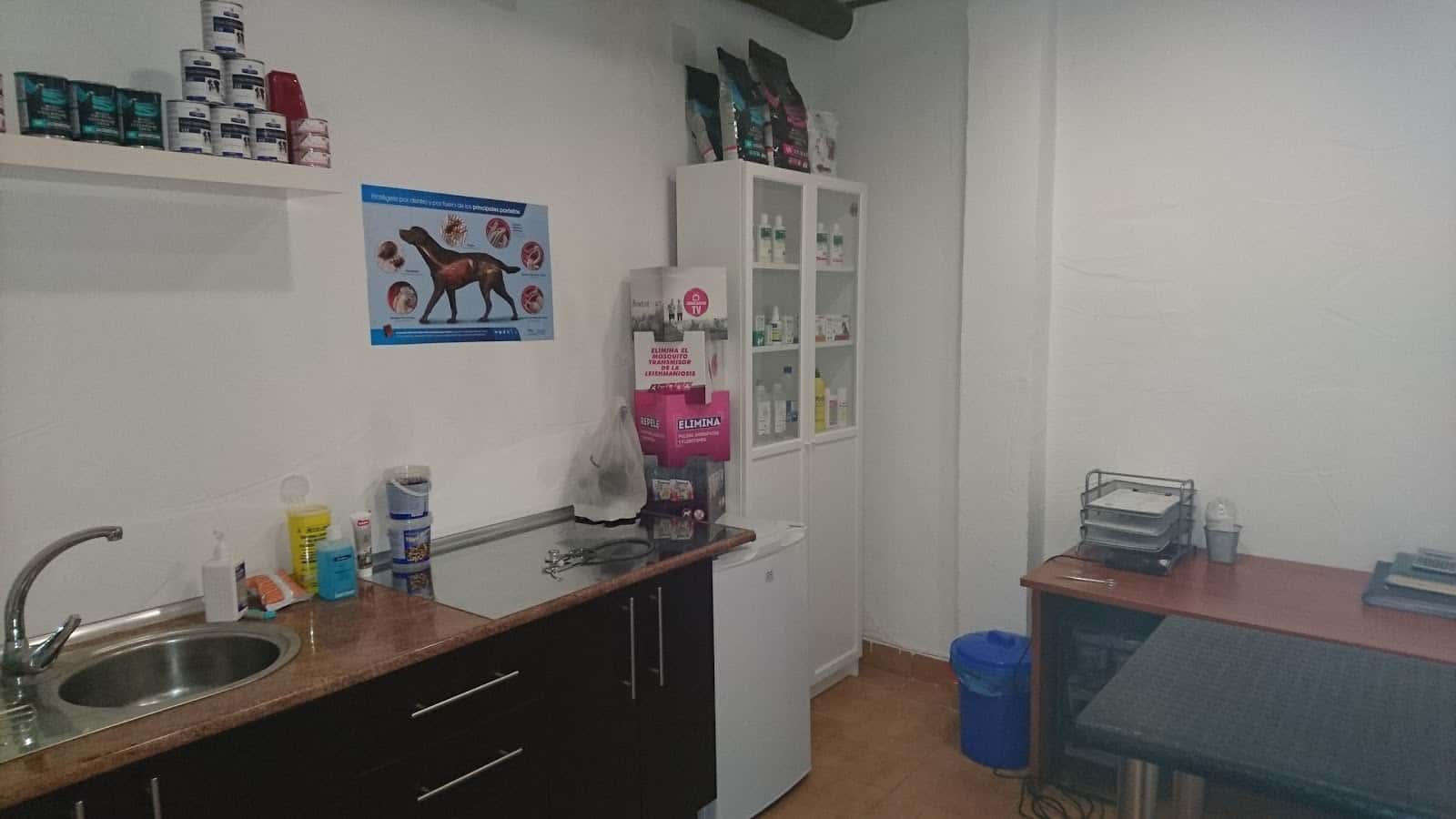 Centro veterinario El bulldog ingles