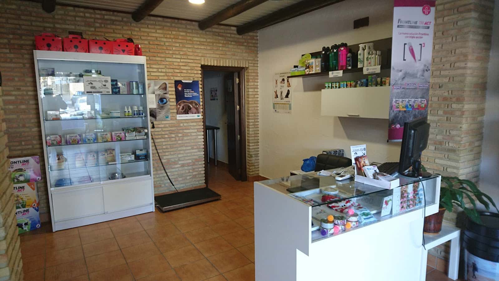 centro veterinario el bulldog ingles veterinario centro en hinojos en huelva principalImage ADOPTA Sitios Pet Friendly
