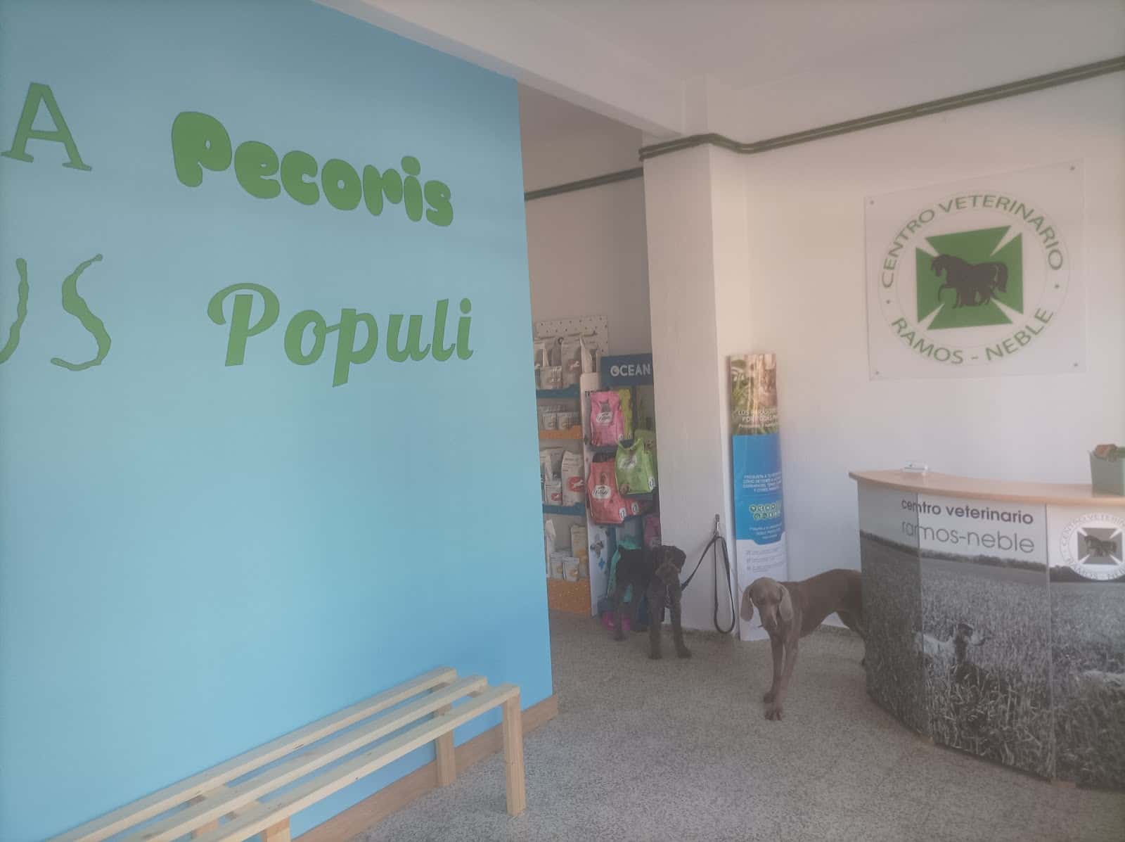 Centro Veterinario Ramos-Neble
