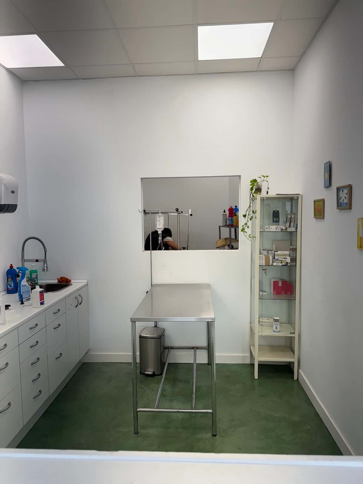 centro veterinario san antonio abad veterinario centro en trigueros en huelva principalImage ADOPTA Sitios Pet Friendly
