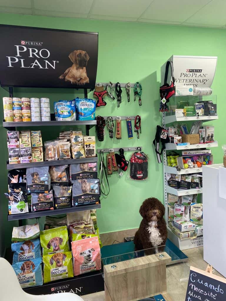 Centro Veterinario La Rocina Almonte