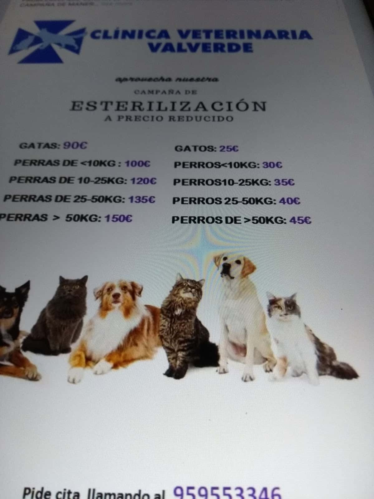 Clínica Veterinaria Valverde