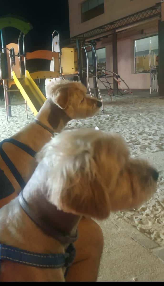 Clínica Veterinaria Valverde