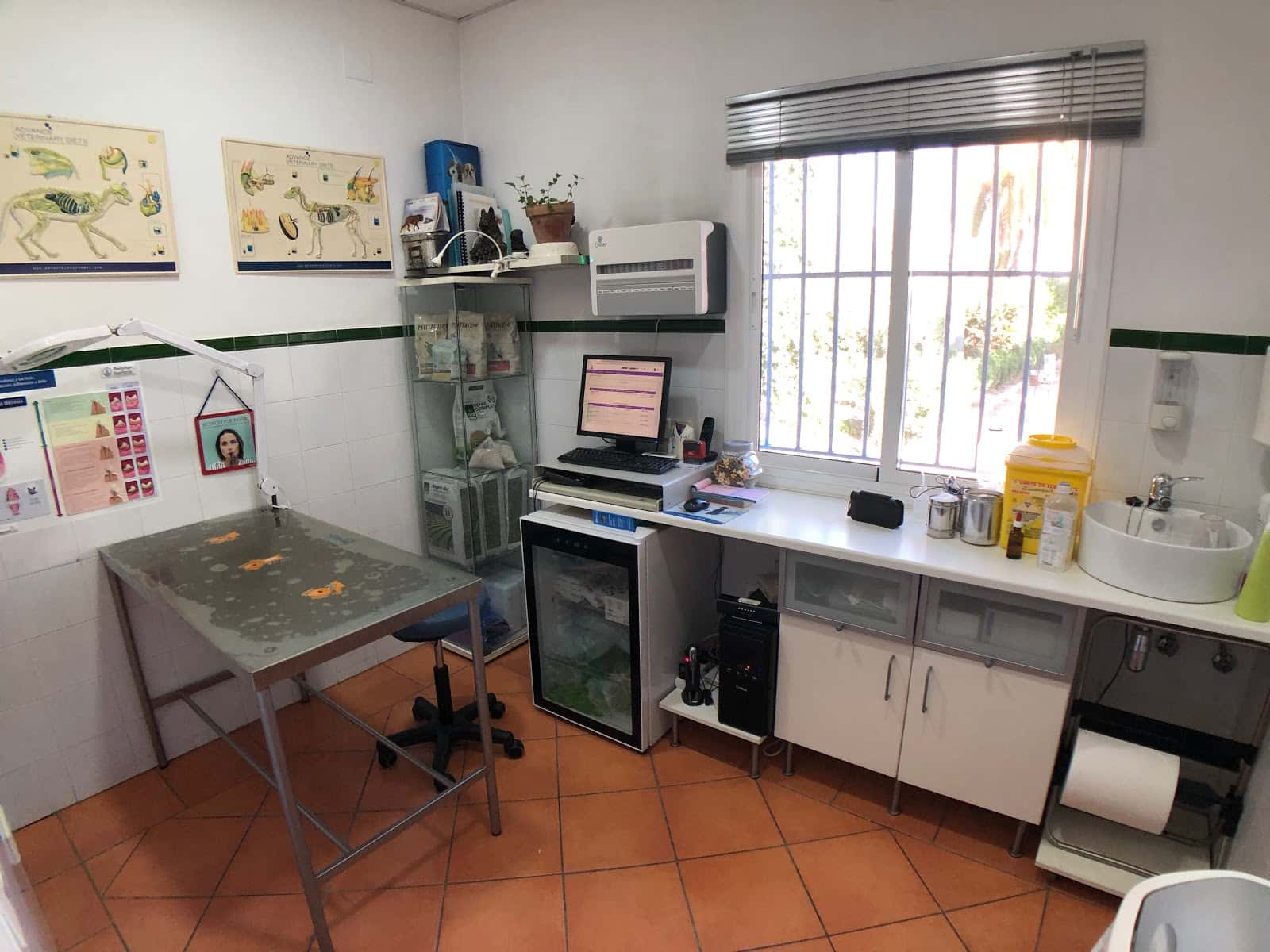 PETCONDADO, S.L. ( Pablo López García-Villarrubia )