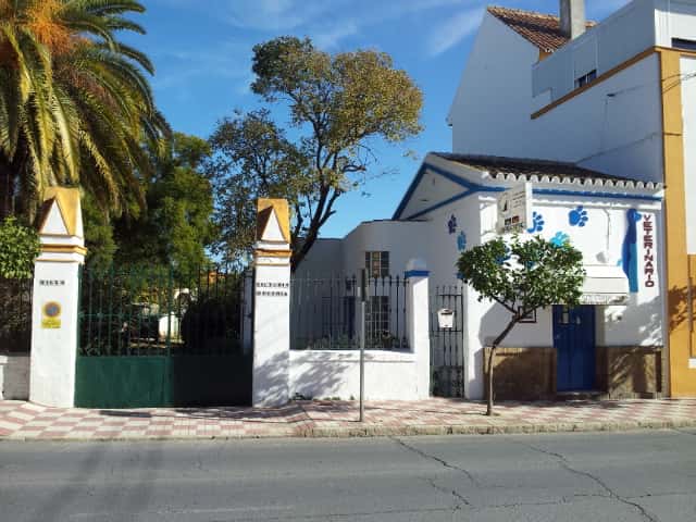 petcondado  s l    pablo lopez garcia villarrubia   veterinario centro en bollullos par del condado en huelva principalImage ADOPTA Sitios Pet Friendly